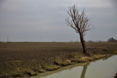 İtalya 'nın kışın kırsalında çıplak ağaçlarla çevrili bir tarlanın yanındaki su akıntısı.