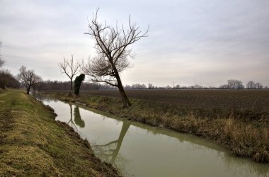 İtalya 'nın kışın kırsalında çıplak ağaçlarla çevrili bir tarlanın yanındaki su akıntısı.