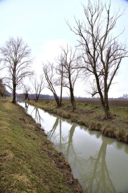 İtalya 'nın kışın kırsalında çıplak ağaçlarla çevrili bir tarlanın yanındaki su akıntısı.