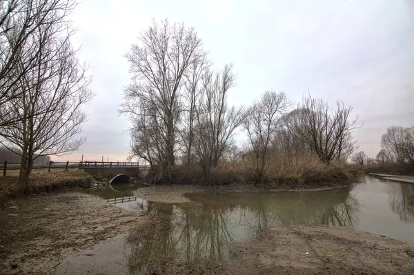 冬のイタリアの田舎の端に裸の木のあるフィールドの隣の水の流れ — ストック写真