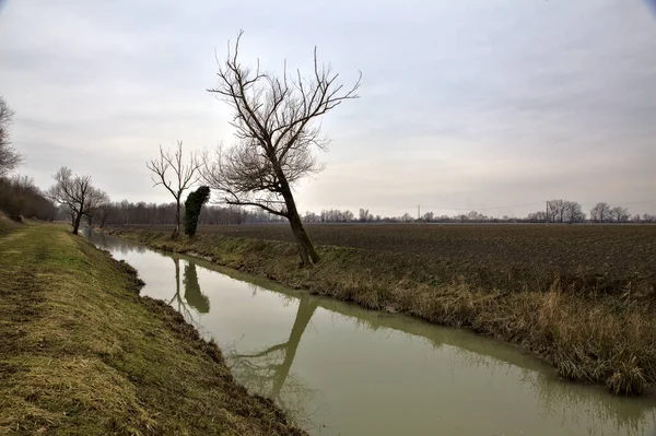 Stream Water Next Field Bare Trees Edge Italian Countryside Winter — Stock Photo, Image