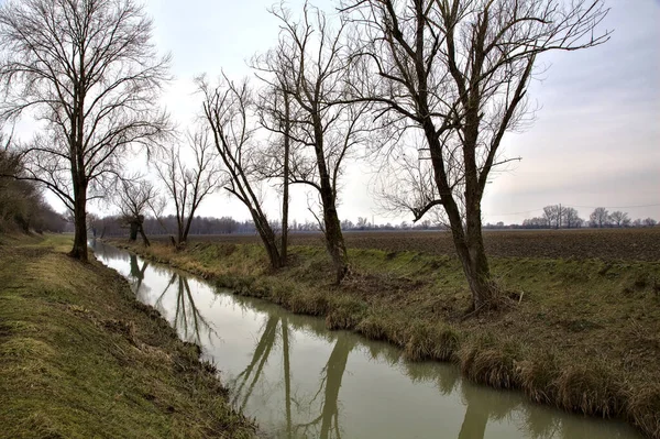 Stream Water Next Field Bare Trees Edge Italian Countryside Winter — Stock Photo, Image