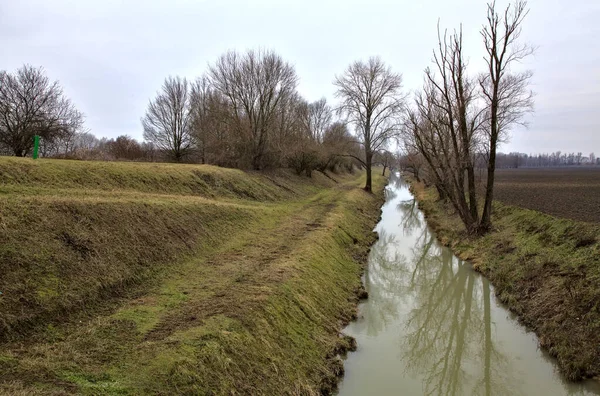 Струмок Води Поруч Поля Голими Деревами Краю Його Італійській Сільській — стокове фото