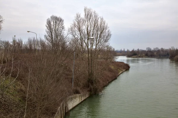 冬日里 意大利乡村里 天空中的河流 树梢上的树 都陷进了水里 — 图库照片