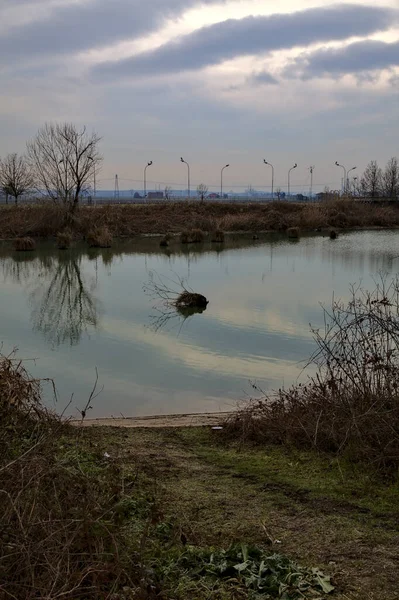 Річка Небом Дерева Краю Кинулися Воду Італійській Сільській Місцевості Взимку — стокове фото