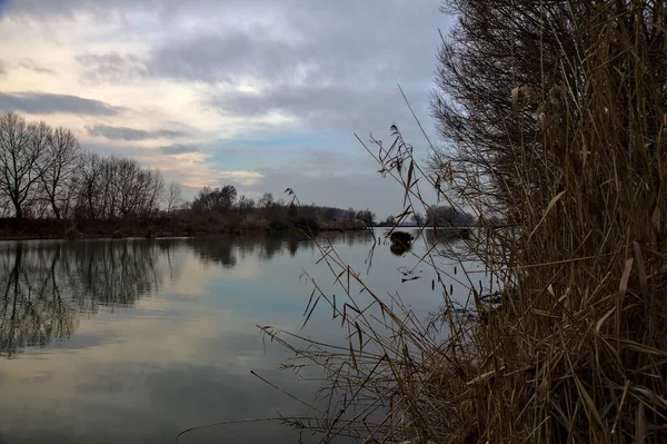 冬日里 意大利乡村里 天空中的河流 树梢上的树 都陷进了水里 — 图库照片