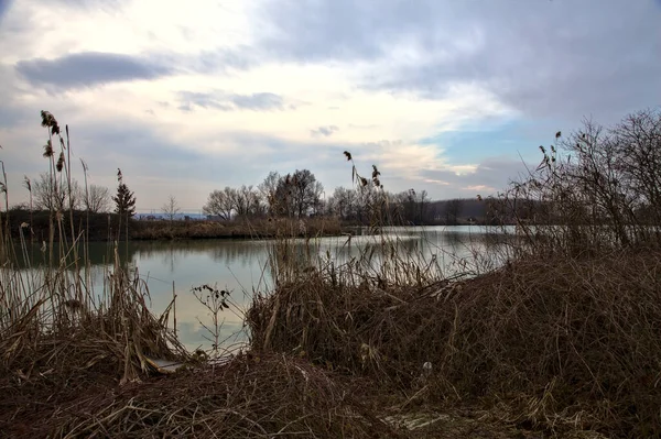 겨울에는 하늘과 나무들이 이탈리아 시골의 물가에 내려앉았습니다 — 스톡 사진