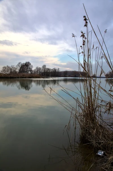 Río Con Cielo Los Árboles Borde Ella Fundido Agua Campo —  Fotos de Stock