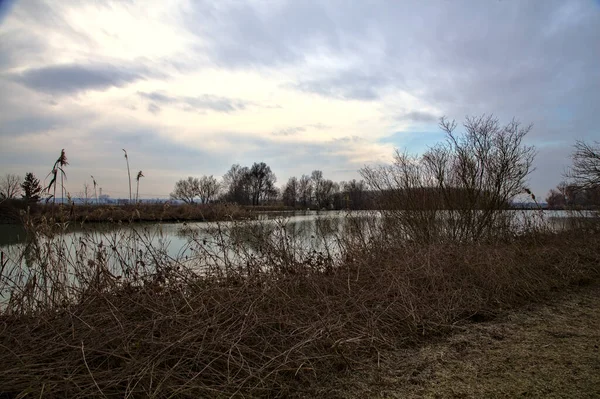冬にイタリアの田舎の水で鋳造された空とそれの端の木と川 — ストック写真