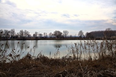 Nehir, gökyüzü ve kıyılarındaki ağaçlar kışın İtalya 'nın kırsal kesimlerinde suya dökülür.