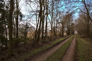 İtalya kırsalında, üzerinde bir tepe örtüsü oluşturan çıplak ağaçlarla çevrili patika.