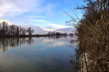 Nehir, gökyüzü ve kıyılarındaki ağaçlar kışın İtalya 'nın kırsal kesimlerinde suya dökülür.