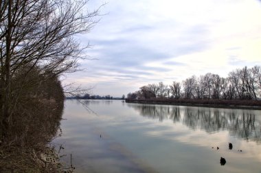 Nehir, gökyüzü ve kıyılarındaki ağaçlar kışın İtalya 'nın kırsal kesimlerinde suya dökülür.