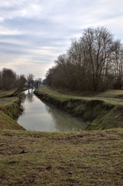 İtalya 'nın kışın kırsalında çıplak ağaçlarla çevrili bir tarlanın yanındaki su akıntısı.