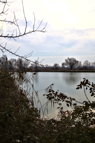 Rivière Avec Ciel Les Arbres Bord Celui Jeté Dans Eau — Photo