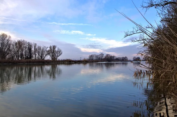 Fluss Mit Dem Himmel Und Den Bäumen Rand Die Winter — Stockfoto