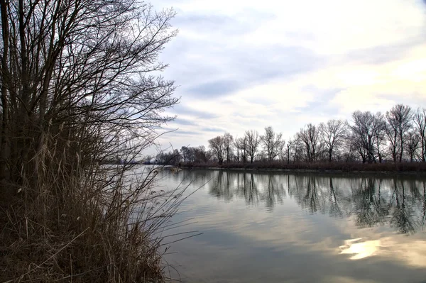 River Sky Trees Edge Casted Water Italian Countryside Winter — Stock Photo, Image