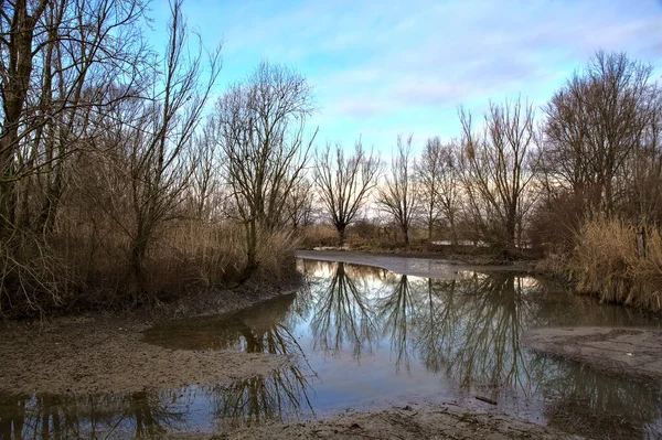 Entrée Eau Bordée Roseaux Dans Marais Campagne Italienne — Photo