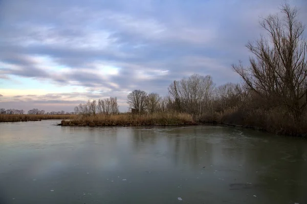 冬のイタリアの田舎の公園の隣の沼に葦がたくさんある沼 — ストック写真