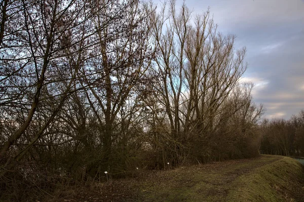 Camino Junto Campo Arado Parque Campo Italiano Invierno —  Fotos de Stock