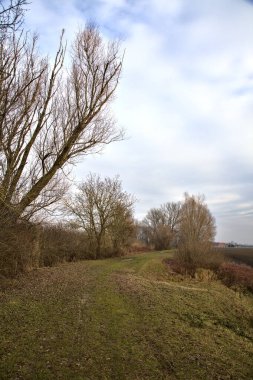İtalya 'nın kırsalında bir parkta, tarlaya sürülmüş bir tarlanın yanındaki patikada.
