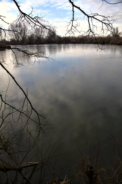 Marsh Full Reeds Marsh Next Park Italian Countryside Winter — Stock Photo, Image