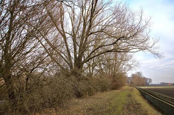 Camino Junto Campo Arado Parque Campo Italiano Invierno —  Fotos de Stock