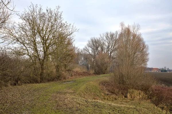 Caminho Lado Campo Arado Parque Paisagem Italiana Inverno — Fotografia de Stock