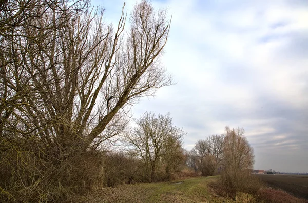 Chemin Côté Champ Labouré Dans Parc Dans Campagne Italienne Hiver — Photo