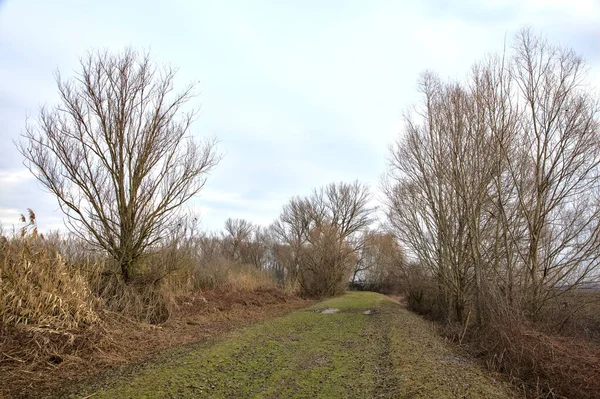 Chemin Côté Champ Labouré Dans Parc Dans Campagne Italienne Hiver — Photo