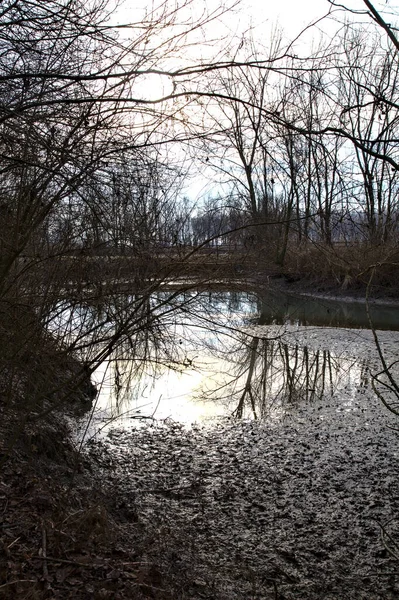 Inlet Water Bordered Reeds Marsh Italian Countryside — Stock Photo, Image