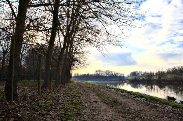 Camino Orillas Río Campo Italiano Invierno —  Fotos de Stock