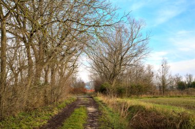 Kışın İtalya kırsalında bir tarlanın yanındaki çakıl yolu.