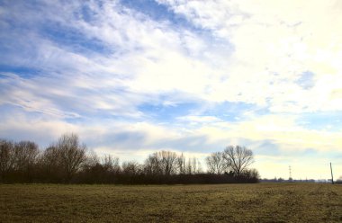 İtalya 'nın kışın kırsalındaki tarlalı bir tarlada çıplak ağaçlar