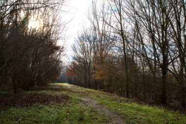 İtalya 'nın kırsal kesimindeki bir parkta kışın toprak yol