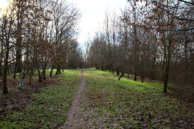 İtalya 'nın kırsal kesimindeki bir parkta kışın toprak yol