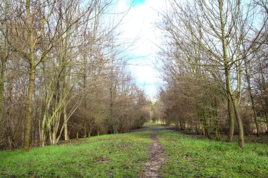 İtalya 'nın kırsal kesimindeki bir parkta kışın toprak yol