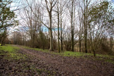 İtalya 'nın kırsal kesimindeki bir parkta kışın toprak yol