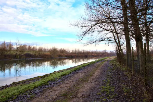 Camino Orillas Río Campo Italiano Invierno —  Fotos de Stock