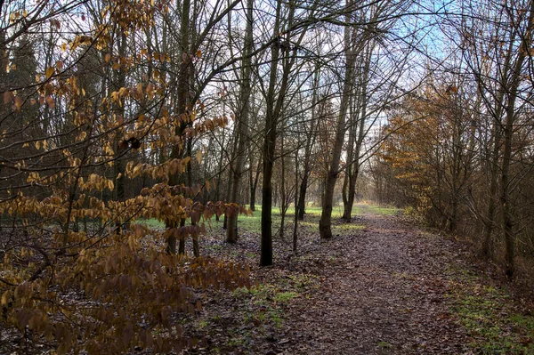 Schotterpfad Einem Park Der Italienischen Landschaft Winter — Stockfoto