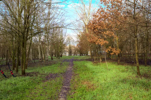 Smutsig Stig Park Den Italienska Landsbygden Vintern — Stockfoto