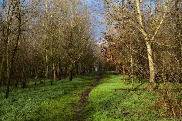 Smutsig Stig Park Den Italienska Landsbygden Vintern — Stockfoto