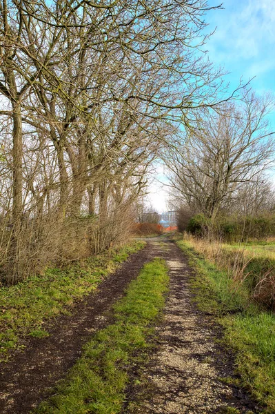 Schotterpiste Neben Einem Feld Der Italienischen Landschaft Winter — Stockfoto