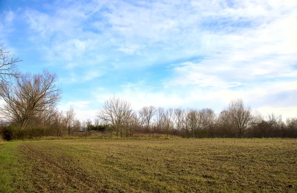 Kahle Bäume Auf Einem Gepflügten Feld Der Italienischen Landschaft Winter — Stockfoto