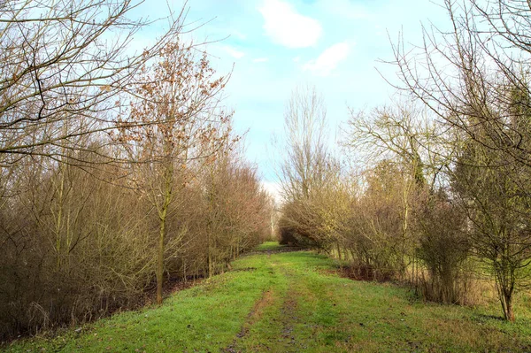 Schotterpfad Einem Park Der Italienischen Landschaft Winter — Stockfoto