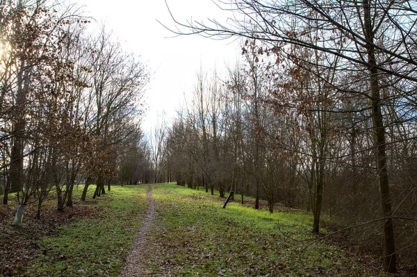 Schotterpfad Einem Park Der Italienischen Landschaft Winter — Stockfoto