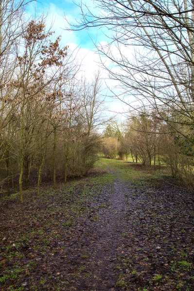 Chemin Terre Dans Parc Campagne Italienne Hiver — Photo