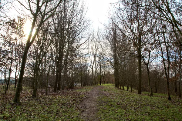 Chemin Terre Dans Parc Campagne Italienne Hiver — Photo