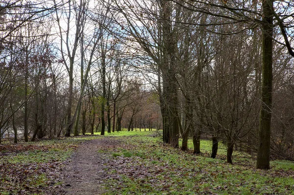 Percorso Sterrato Parco Nella Campagna Italiana Inverno — Foto Stock