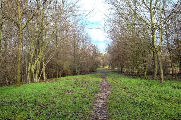 Chemin Terre Dans Parc Campagne Italienne Hiver — Photo